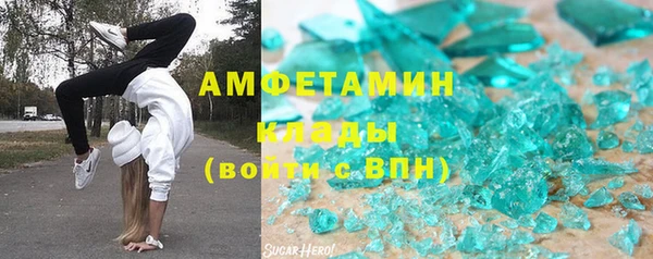 прущие грибы Алексеевка