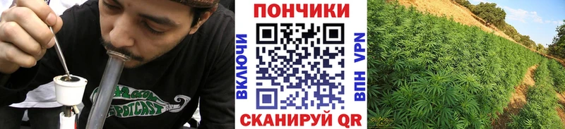 OMG как зайти  Карабулак  Каннабис сатива  купить наркоту 